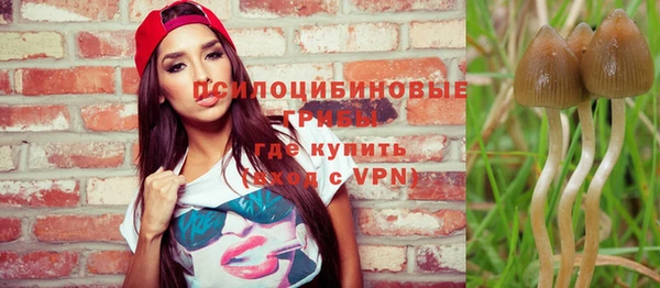 ешки Беломорск