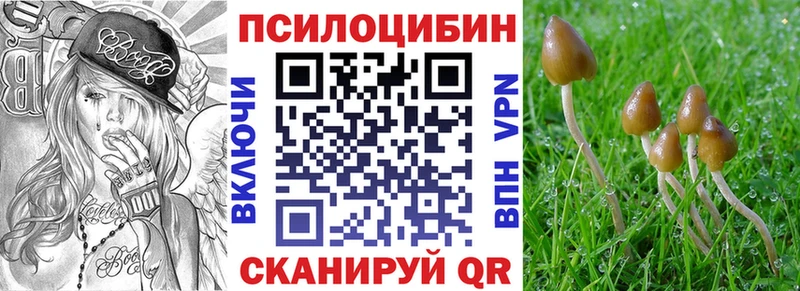 наркота  Ядрин  Галлюциногенные грибы мухоморы 