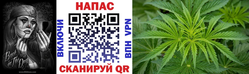 Каннабис конопля  как найти закладки  Ядрин 
